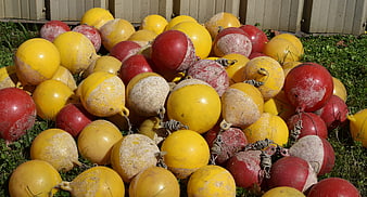 Pile of weathered red and yellow rowing lane buoys on grass