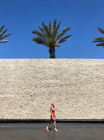Woman in Red Dress Walking Past Textured Wall and Palm Tree