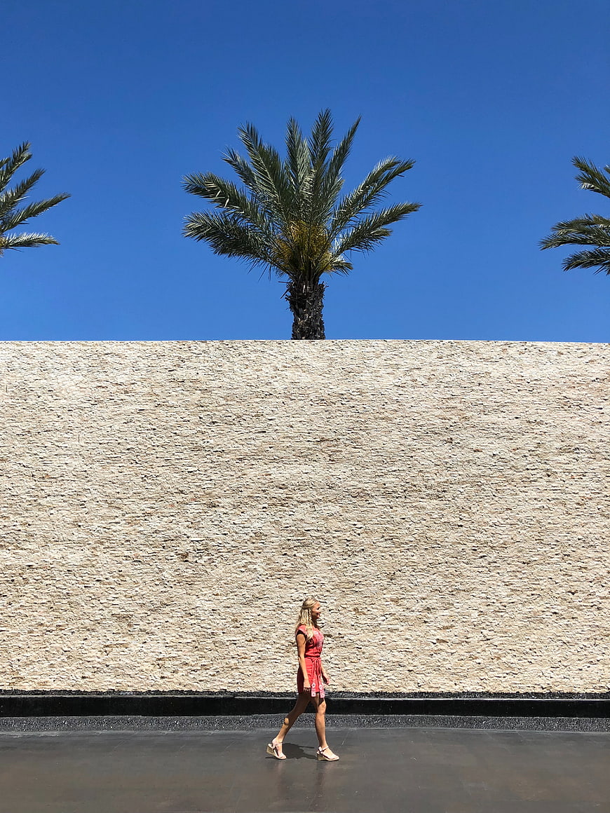 Woman in Red Dress Walking Past Textured Wall and Palm Tree