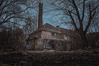Abandoned Brick House in Overgrown Woods with Graffiti