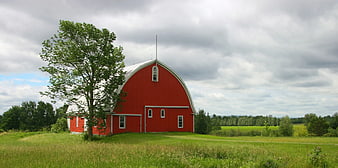 Red Gambrel Barn in Green Pasture