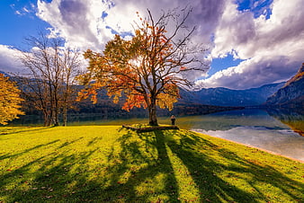 Autumn Tree by Lake with Mountains and Dramatic Sky