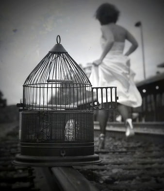 Woman running away from open birdcage on train tracks