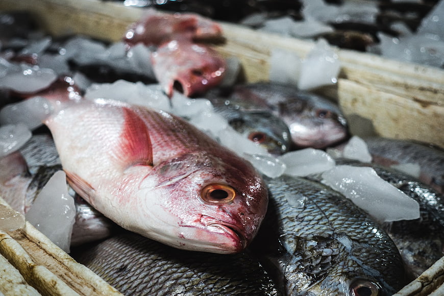 Fresh Red Snapper and Sea Bass on Ice at Fish Market