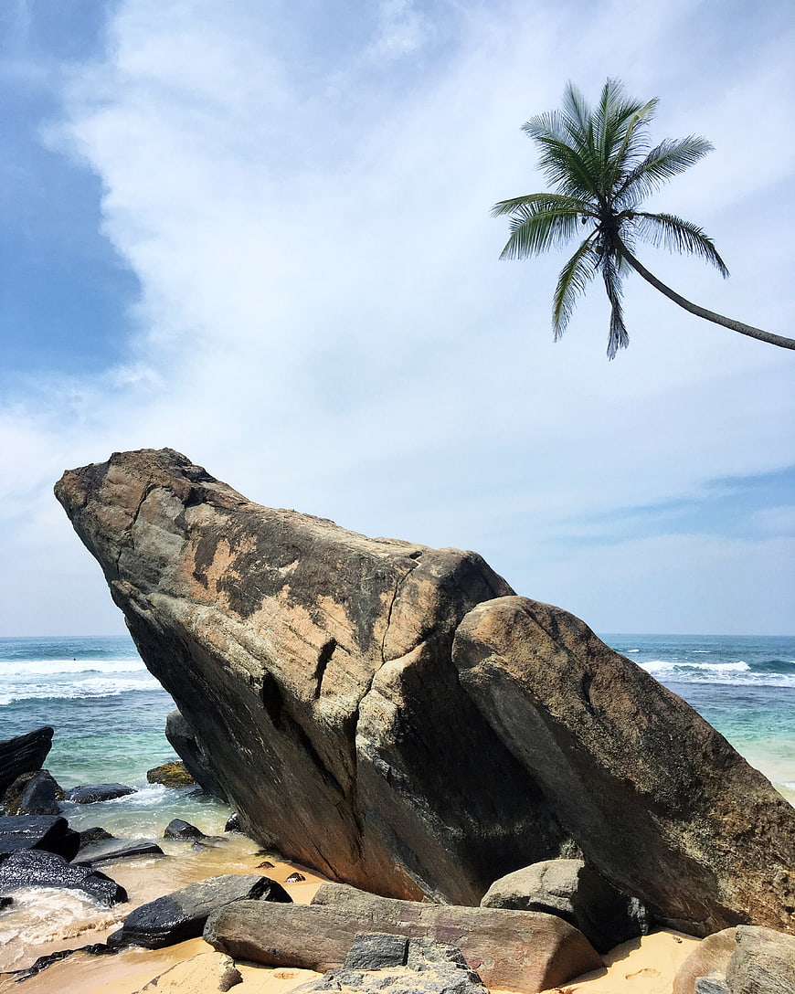 Tropical Beach with Large Rock and Palm Tree