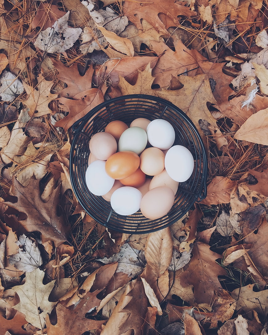 Top view of basket with eggs on autumn leaves