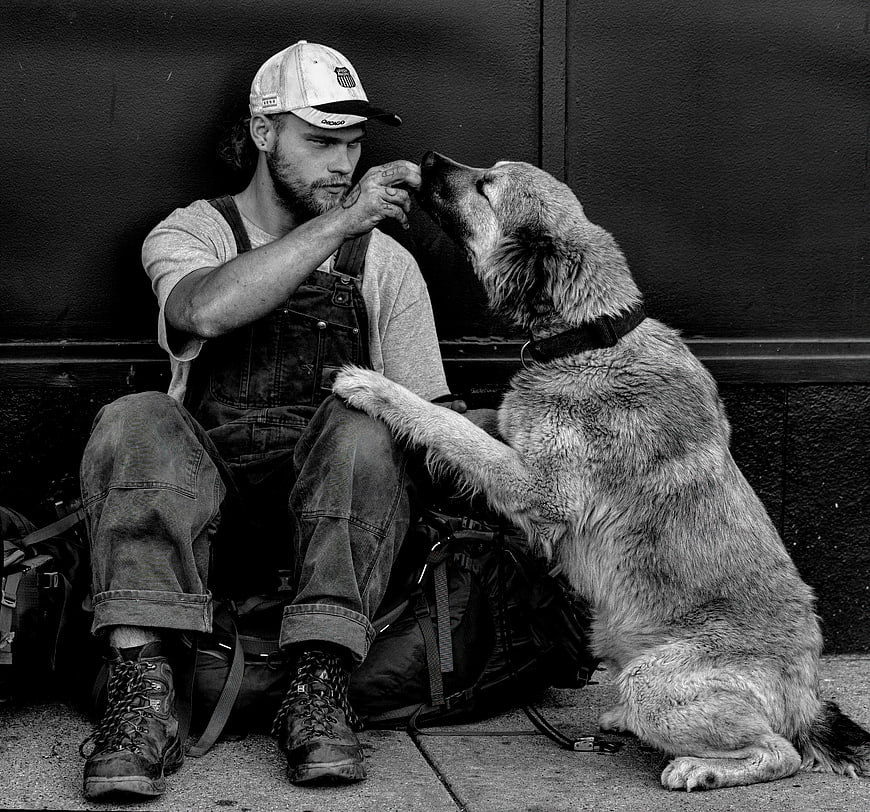 Man in Overalls Feeding Dog on Sidewalk