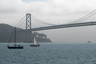 Sailboats on San Francisco Bay with Bay Bridge Background