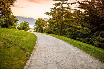 Winding Gravel Path Through Green Trees at Sunset