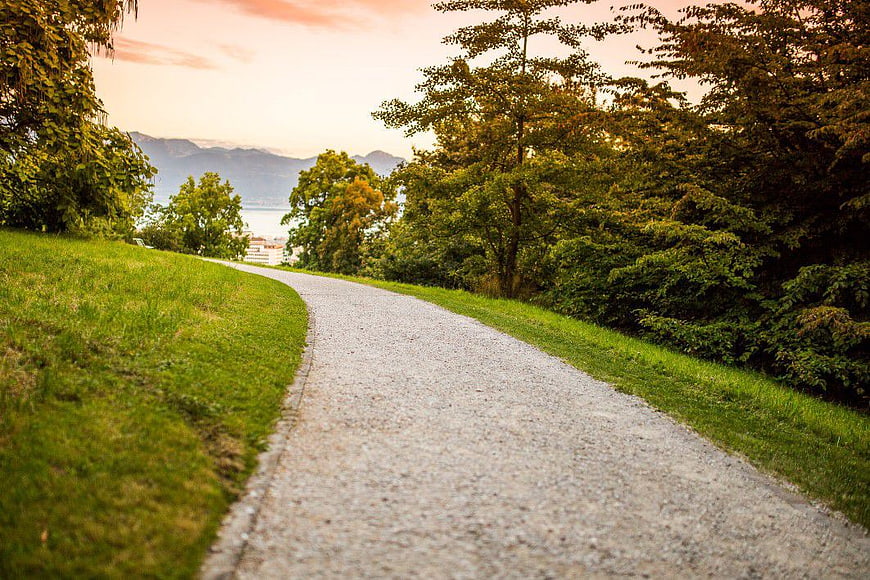 Winding Gravel Path Through Green Trees at Sunset