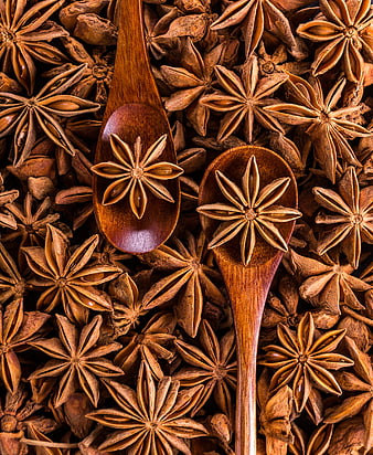 Top View of Star Anise Spices on Wooden Spoons