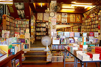 Interior of a cozy vintage bookstore filled with books