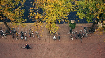 Aerial view of bicycles parked on brick promenade by canal in autumn