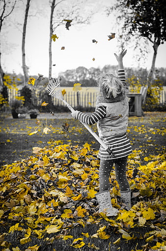 Child playing with yellow autumn leaves in park