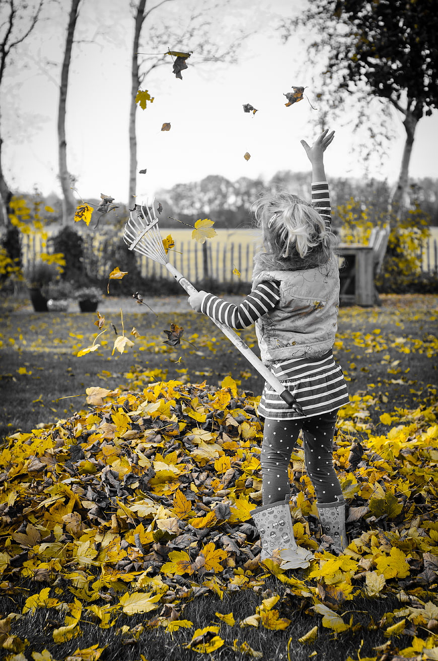 Child playing with yellow autumn leaves in park