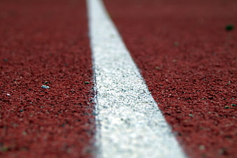 Close-up of white line on red running track surface