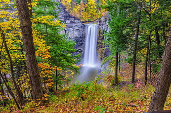 Tall waterfall cascading through autumn forest with yellow leaves