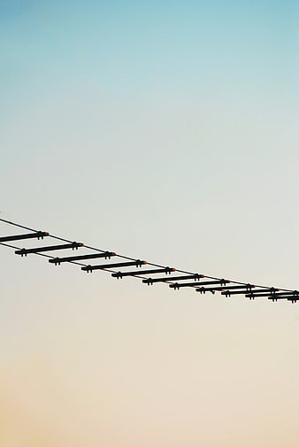 Black Rope Ladder Silhouette Against Gradient Sky