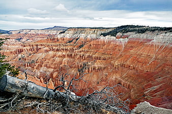 Bryce Canyon Landscape with Hoodoos and Fallen Log