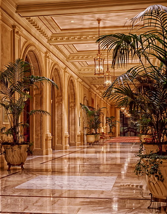 Luxurious hotel lobby hallway with marble floors and palm trees