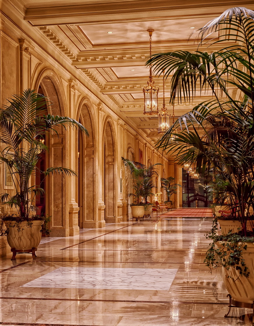 Luxurious hotel lobby hallway with marble floors and palm trees