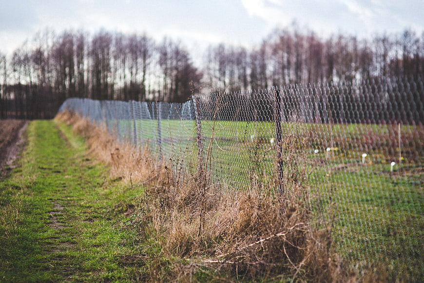 Chain link fence bordering green field and forest path