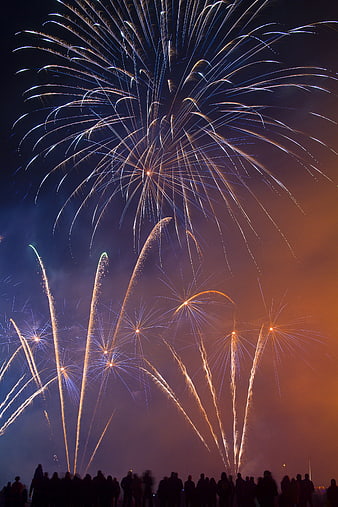 Spectacular Fireworks Display Over Silhouetted Crowd at Night