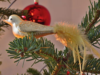 White Glitter Bird Ornament on Christmas Tree Branch