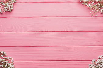 Pink Wooden Plank Background With White Baby's Breath Flowers