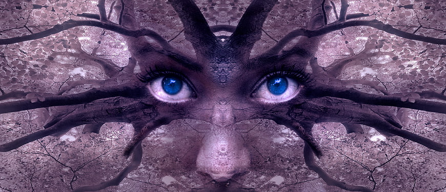 Surreal fantasy portrait of blue eyes merging with tree branches