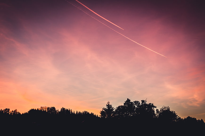 Pink Sunset Sky with Contrails and Forest Silhouette