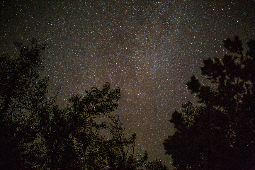 Milky Way Galaxy Over Silhouetted Trees at Night