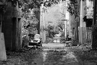 Black and white photo of a quiet residential alleyway with parked cars