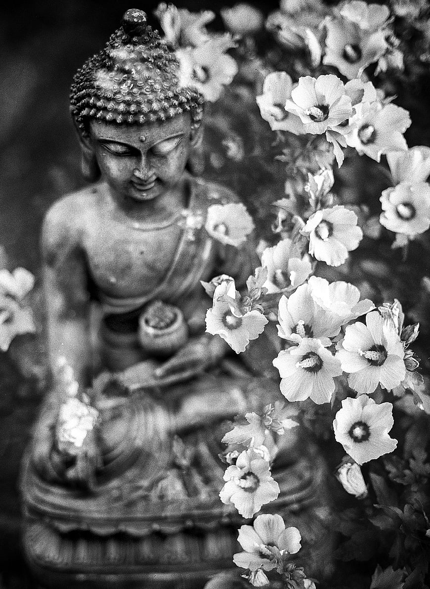 Black and White Buddha Statue with Flowers