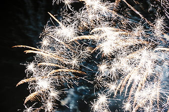 Golden fireworks exploding in the night sky