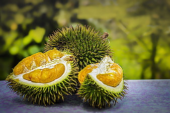 Fresh Durian Fruit With Exposed Golden Flesh On Purple Surface