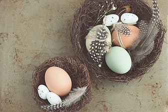 Rustic bird nests with speckled eggs and feathers on textured background