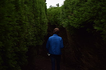 Man in Blue Jacket Walking Through Dark Hedge Tunnel