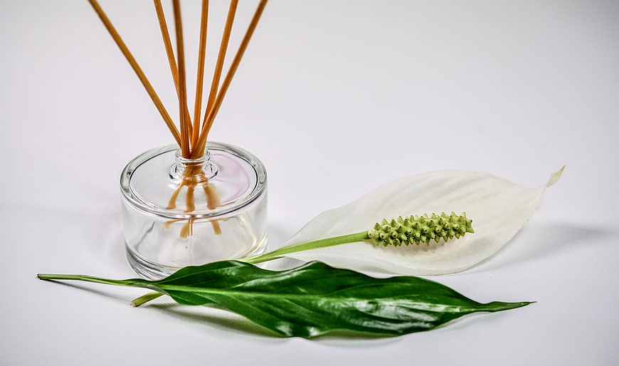Glass reed diffuser with peace lily flower and green leaf on white background