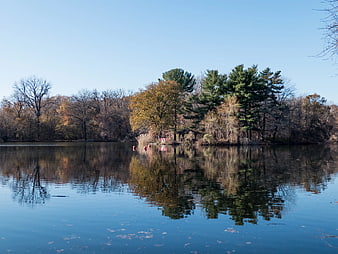 Serene Lake Reflection with Autumn Trees and Blue Sky