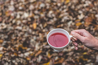 Hand Holding White Teacup with Red Tea Over Autumn Leaves