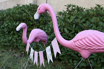 Pink Plastic Flamingo Garden Decorations with Bunting