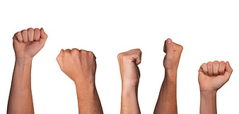 Five Raised Clenched Fists Against White Background