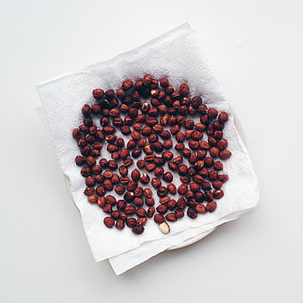 Roasted Hazelnuts Drying on White Paper Towel
