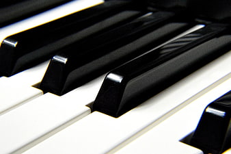 Close-up of black and white piano keys