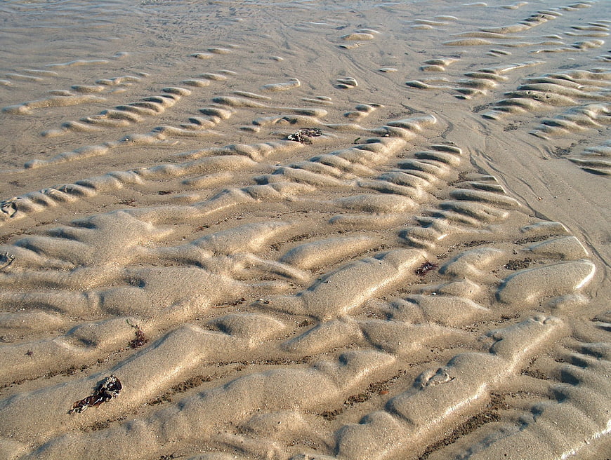 Close-up of wet sand ripples on a beach