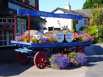 Vintage blue beer wagon with barrels and flowers