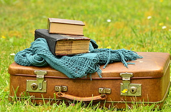Vintage suitcase with old books and scarf on grass