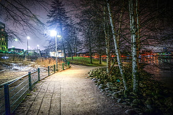Illuminated Winter Path in Helsinki Park at Night