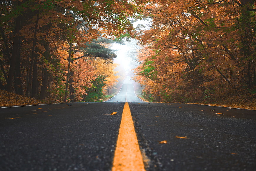 Foggy Autumn Road Through Colorful Forest